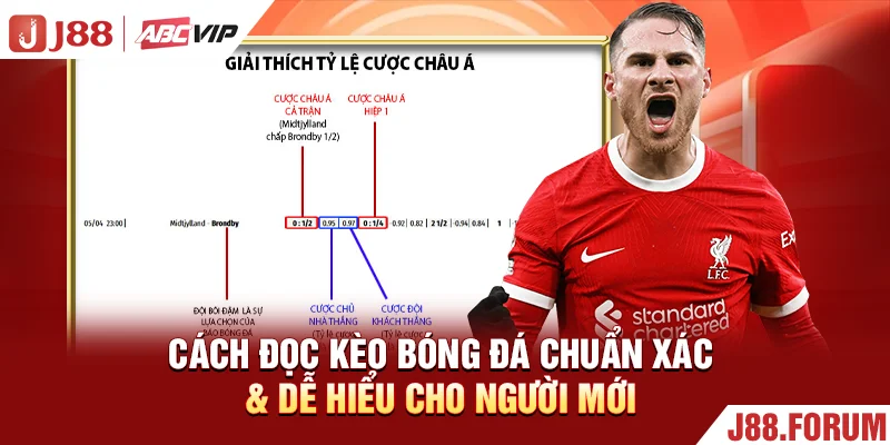 Cách Đọc Kèo Bóng Đá Chuẩn Xác & Dễ Hiểu Cho Người Mới Cách Đọc Kèo Bóng Đá Chuẩn Xác & Dễ Hiểu Cho Người Mới