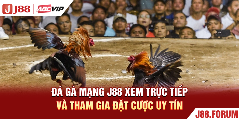 Đá Gà Mạng J88 - Xem Trực Tiếp Và Tham Gia Đặt Cược Uy Tín Đá Gà Mạng J88 - Xem Trực Tiếp Và Tham Gia Đặt Cược Uy Tín