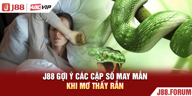 Mơ Thấy Rắn - Giải Mã Các Trường Hợp Mang Lại May Mắn 100% J88 gợi ý các cặp số may mắn khi mơ thấy rắn