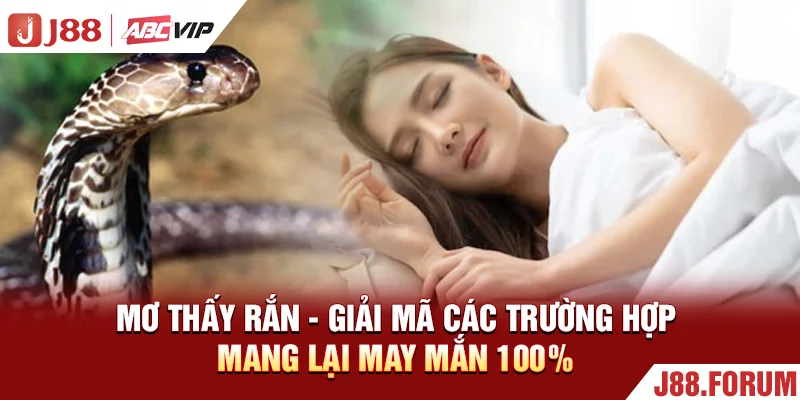 Mơ Thấy Rắn - Giải Mã Các Trường Hợp Mang Lại May Mắn 100% Mơ Thấy Rắn - Giải Mã Các Trường Hợp Mang Lại May Mắn 100%